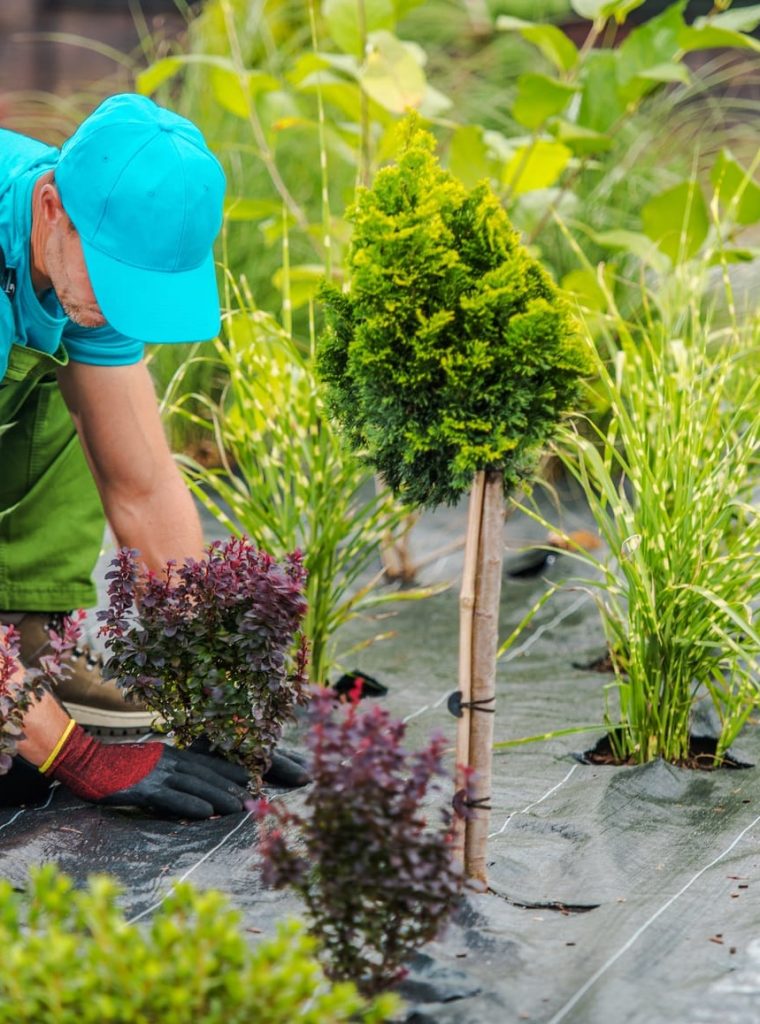 Professional Garden Landscape Maintenance Services